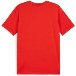 Puma teamGoal 24 Casuals Tee