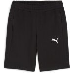 Puma teamGoal 24 Casuals Shorts