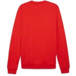 Puma teamGoal 24 Casuals Crew Neck Sweat