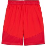 Puma teamFinal 24 Shorts