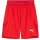 Puma teamFinal 24 Shorts