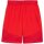 Puma teamFinal 24 Shorts