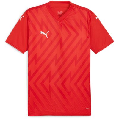 Puma teamGlory 24 Trikot Jersey