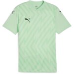 Puma teamGlory 24 Trikot Jersey - Fresh Mint-Puma Black -...