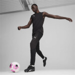 Puma teamFinal 24 Trainingshose - Puma Black-Puma Silver - Gr. s