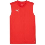 Puma teamFinal 24 Training Jersey SL