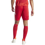 adidas Tiro 24 Short - team power red/white - Gr. 3xl