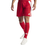 adidas Tiro 24 Short - team power red/white - Gr. 3xl