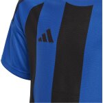adidas Striped 24 Trikot Jersey - team royal blue/black - Gr. m