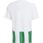 adidas Striped 24 Trikot Jersey - white/team green - Gr. s