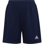 adidas Striped 24 Kinder Trikotsatz - navy - navy - navy - Gr. kurzarm | 164 - 164 - xs