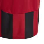 adidas Striped 24 Trikotsatz