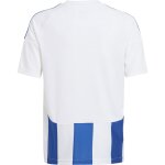adidas Striped 24 Trikotsatz - white - royal - royal - Gr. kurzarm | l - l - l