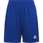 adidas Striped 24 Trikotsatz - white - royal - royal - Gr. kurzarm | l - l - l