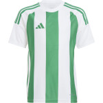 adidas Striped 24 Trikotsatz - white - green - green - Gr. kurzarm | s - s - s