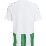 adidas Striped 24 Trikotsatz - white - green - green - Gr. kurzarm | s - s - s