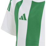 adidas Striped 24 Trikotsatz - white - green - green - Gr. kurzarm | s - s - s