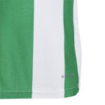 adidas Striped 24 Trikotsatz - white - green - green - Gr. kurzarm | s - s - s