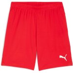 Puma teamGoal 24 Matchday Trikotsatz