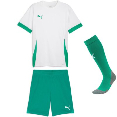 Puma teamGoal 24 Matchday Trikotsatz white green green ku