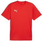 Puma teamGoal 24 Kinder Trikotsatz