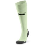 Puma teamGlory 24 Trikotsatz - fresh mint - mint -mint - Gr. kurzarm | xl - xl - 4