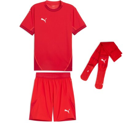 Puma teamFinal 24 Trikotsatz