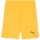 Puma teamGlory 24 Torwart Trikot Set Kurzarm