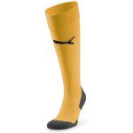 Puma teamGlory 24 Torwart Trikot Set Kurzarm - sun - sun - sun - Gr. kurzarm | s - s - 3