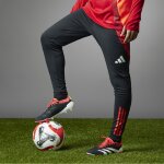 adidas Predator Elite FG - Solar Energy