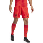 adidas FC Bayern Short 2024/2025 Home - Erw - Gr. L