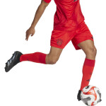 adidas FC Bayern Short 2024/2025 Home - Erw - Gr. L