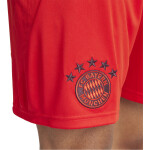 adidas FC Bayern Short 2024/2025 Home - Erw - Gr. L