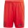 adidas FC Bayern Short 2024/2025 Home - Erw - Gr. L