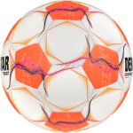 10er Derbystar Bundesliga Club Light 2024/2025 - 350gr Ballpaket - Gr. 5