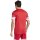 adidas Squadra 25 Trikot Jersey - team power red/white - Gr. m