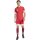 adidas Squadra 25 Trikot Jersey - team power red/white - Gr. m