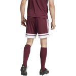 adidas Squadra 25 Short - team marron/white - Gr. 176