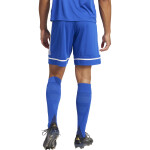 adidas Squadra 25 Short - team royal blue/blue/white - Gr. m