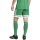 adidas Squadra 25 Short - team green/white - Gr. xs
