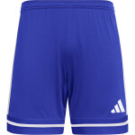adidas Squadra 25 Trikotsatz - team royal blue - royal - royal - Gr. kurzarm | m - m - m