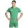 adidas Squadra 25 Trikotsatz - team green - green - green - Gr. kurzarm | xs - xs - xs