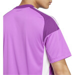 adidas Tiro 25 C Torwarttrikot Set Kurzarm - purple burst - Gr. xs
