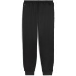 Puma teamKing Anthem Pant Jogginghose