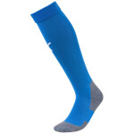 Puma teamClassic Trikotsatz