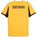 Puma BVB Trikot 2025/2026 Cup - Erw
