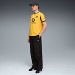 Puma BVB Trikot 2025/2026 Cup - Erw