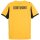 Puma BVB Trikot 2025/2026 Cup - Erw