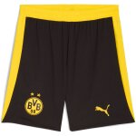 Puma BVB Shorts black - Erw
