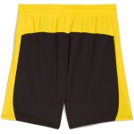 Puma BVB Shorts black - Erw